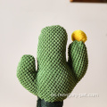 Pet Cactus rascado Post